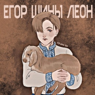 Архив егор шины