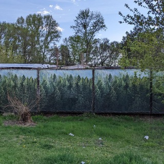 less is a bore \ лес и забор 🌳🚧