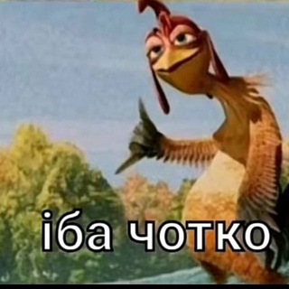 litk3d (анонки, спам)