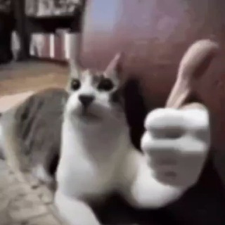 Daily Dump