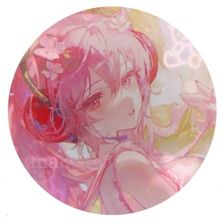•°MAIN ANY°•