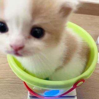 𝘮𝘢𝘰𝘮𝘢𝘰 вещает👅