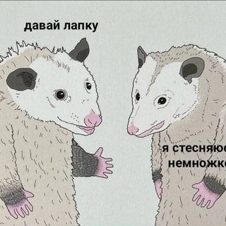 Мемы, которые я сохраняю для неё