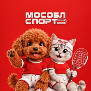 Министерство спорта МО