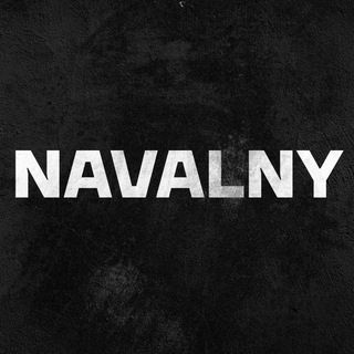 Nawalnys Team Deutschland