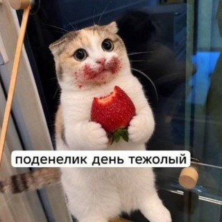прекрати