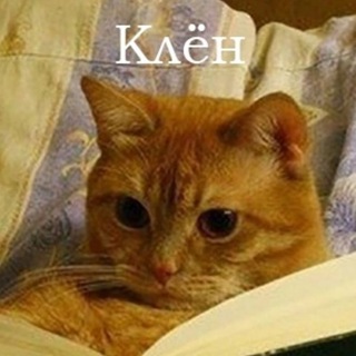 Нэофобия живёт