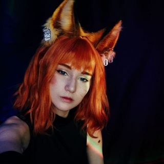 Net Deneg🦊