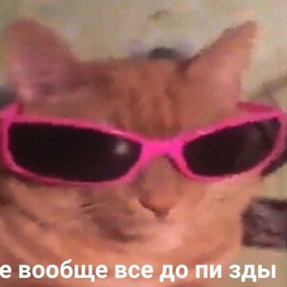 бред сумасшедшего