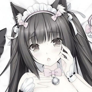 nu cf adapter