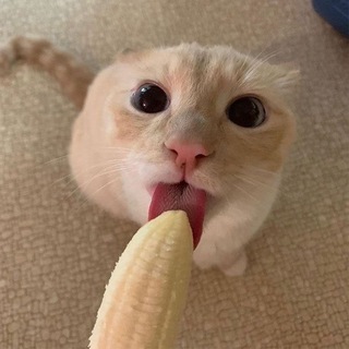 Oʰ SHᐞↁO⋈⌊ORↁ 18+