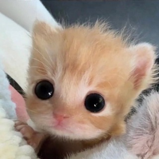 Дом Солнышка
