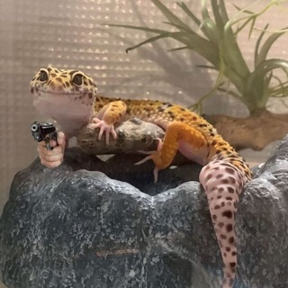 ~•°Маленький подвал°•~