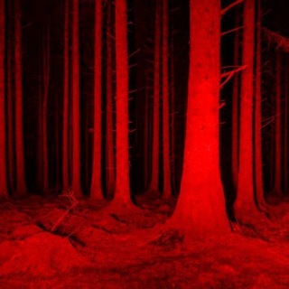 [НАБОР] PHILOSOPHY CF