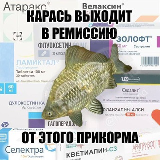 Плесенев компост