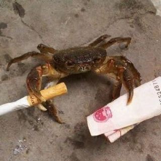 🌧После дождичка в четверг🪼
