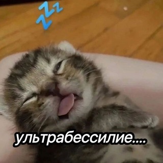 [ЗАКРЫТЫ]прайс лист вавы малекула