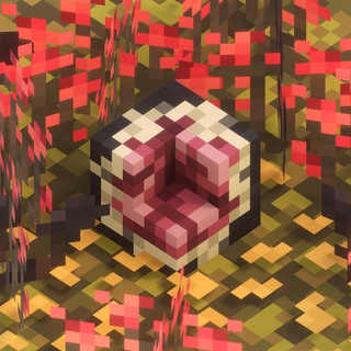 Quarce Pixel