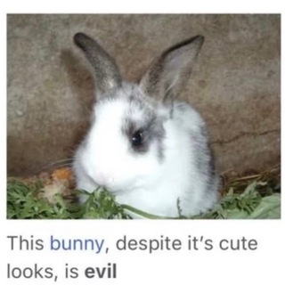 #evilrabbit