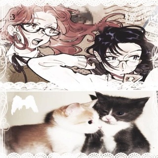 𝙄𝙣𝙛𝙤⋇⋆⋆⋇ .・・゜・。.