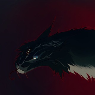 🪷 The Veil of Seiralis (Лотерея)