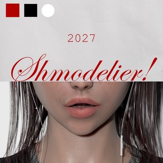 ШМОДЕЛИРУЮ 2027