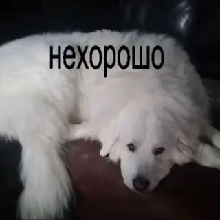 переходник шмак