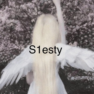 Shop S1esty