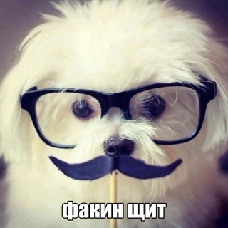 мирsинк