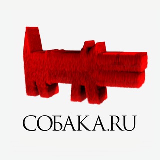 Собака.ru Самара