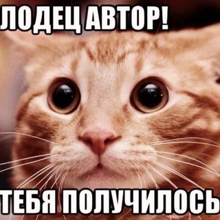 Мемы которые не видел Владислав Сегеда