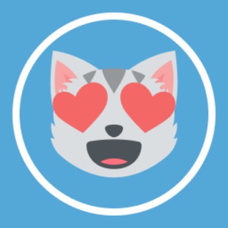I gatti di Telegram😻♥️