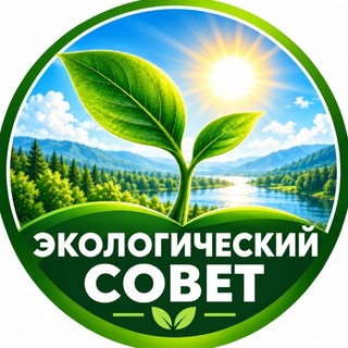 🔵 ЭКОЛОГИЧЕСКИЙ СОВЕТ