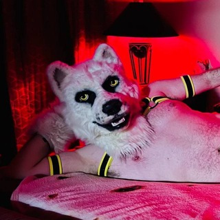 Spec's Spicy Stash 🐺🏳‍🌈🔞