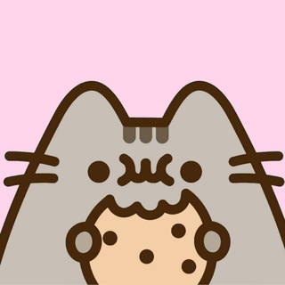 ‧˚꒰ ୭ ˚. ┐