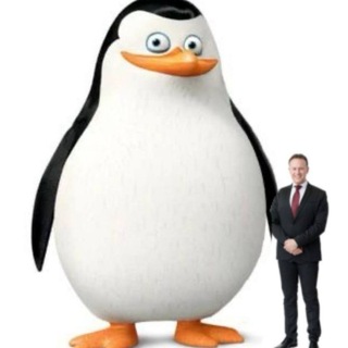 Стремилешкинс