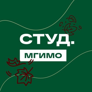 Студенческий союз МГИМО