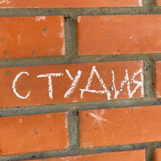 студия синдикат