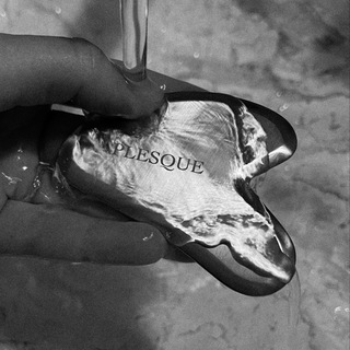 THE PLESQUE