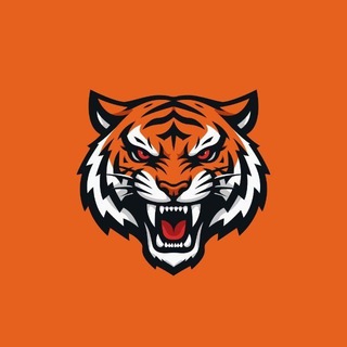 SHADOW TIGERS | Standoff 2