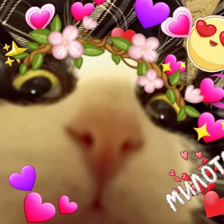 ~🍬Ирисковый беспредел🍬~