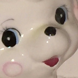 🪽🪽