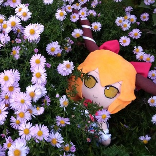 Fumo in Pseudo Paradise