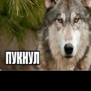 Тревор бухло