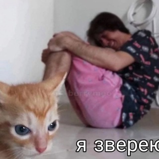 ᛉᛊᛈᛠᛟᚱ°