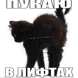 адопты ветти(⁠人⁠*⁠´⁠∀⁠｀⁠)⁠｡⁠*ﾟ⁠+