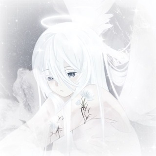 ˚₊‧꒰აyuki - 天使雪໒꒱ ‧₊˚