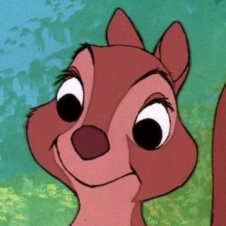 Zei Squirrel