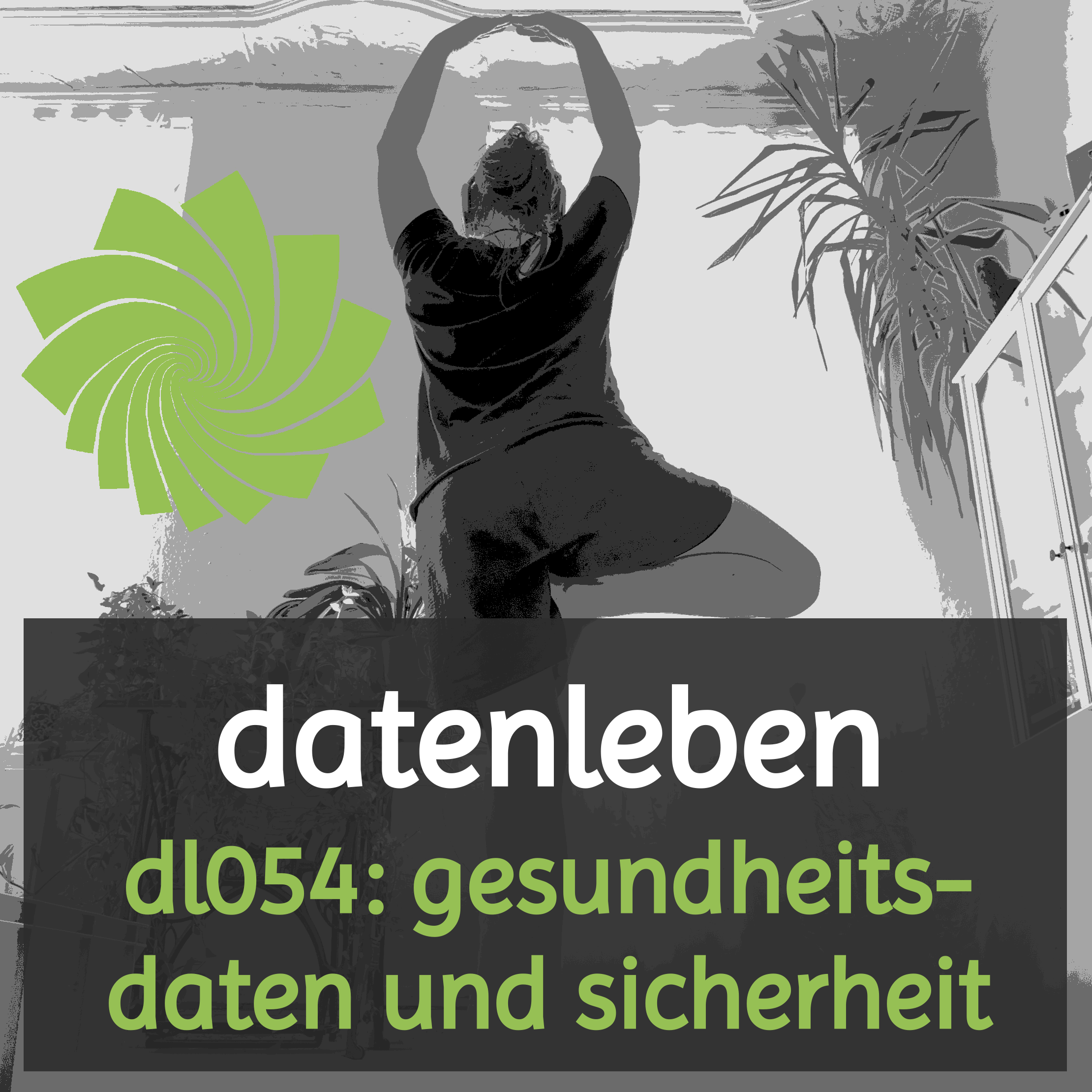 dl054: gesundheitsdaten und sicherheit