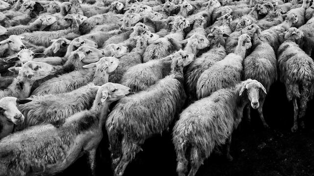 Living the Way of Leadership